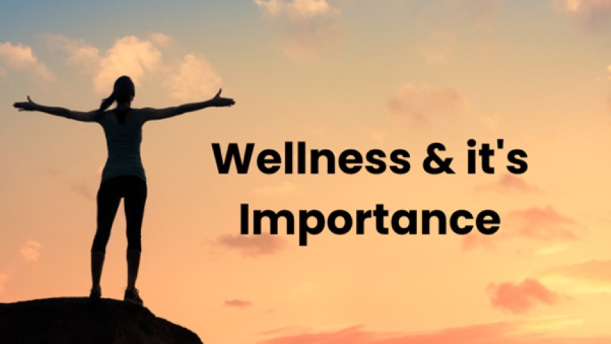 What is wellness? And why is it important?